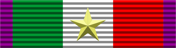 Золотая медаль «За вклад в развитие культуры и искусства» (Италия)