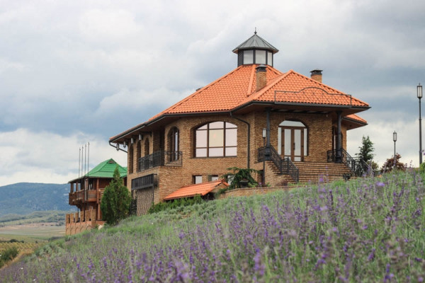 Винодельня 78.jpg