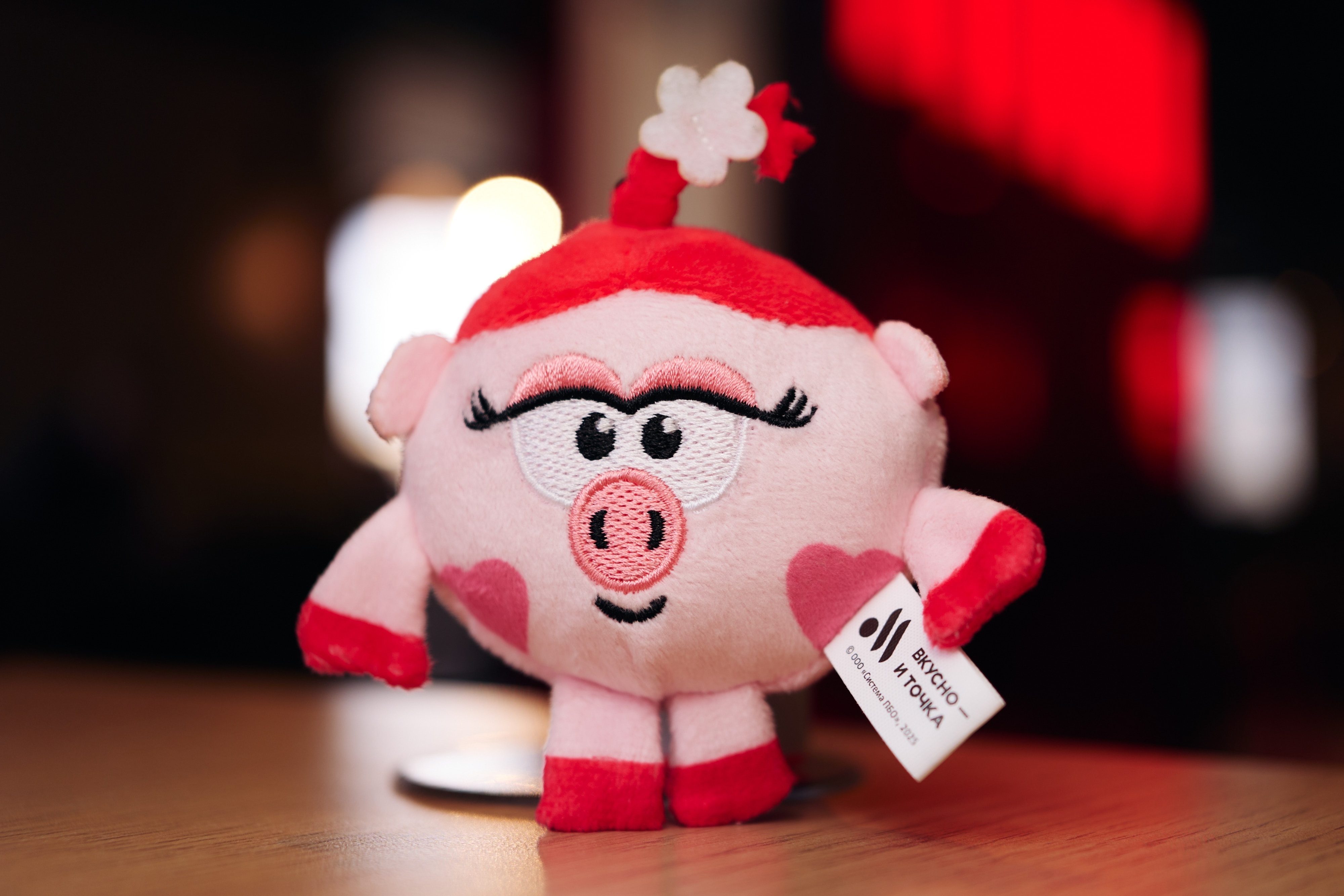 Смешарики в Кидз Комбо (2).jpg