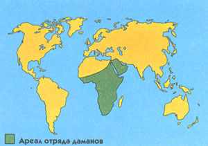 Ареал распространения