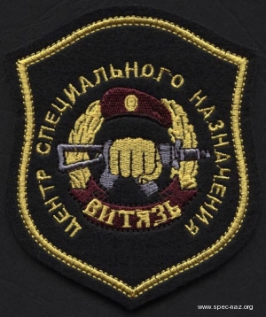 Нарукавный знак 604 ЦСН ВВ.jpg