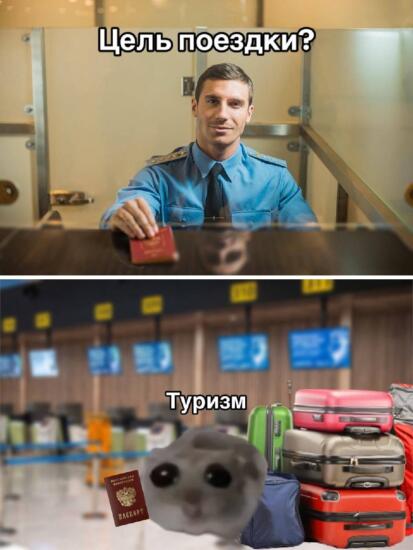 Стеснительный хомяк