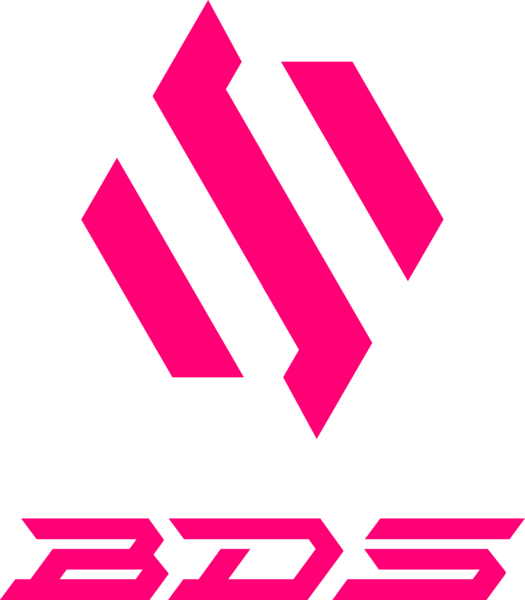 Файл:Логотип Team BDS.png