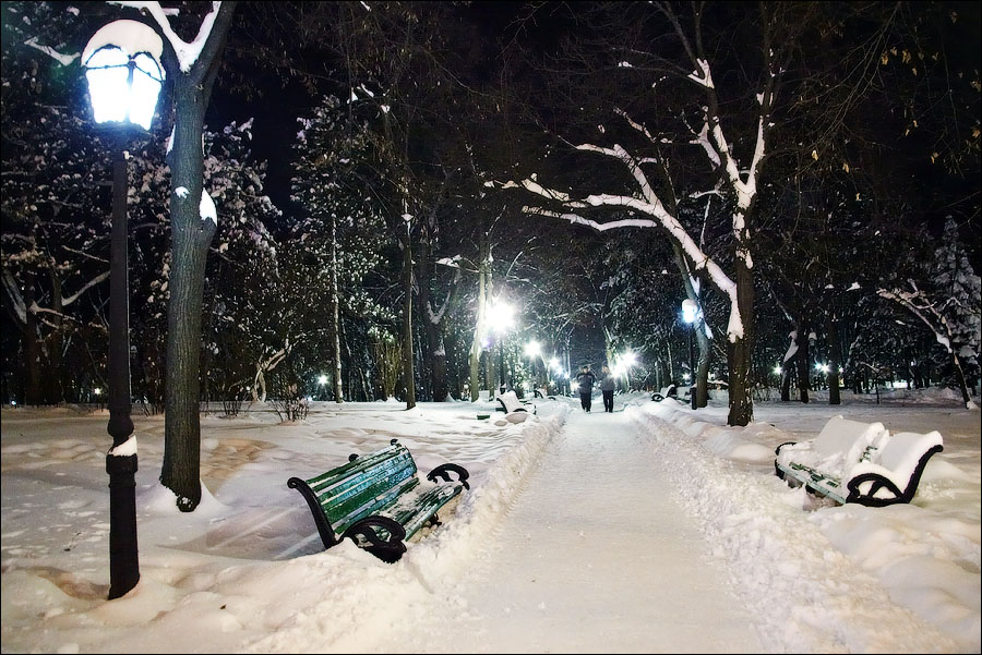 Зимняя ночь в Городском саду
