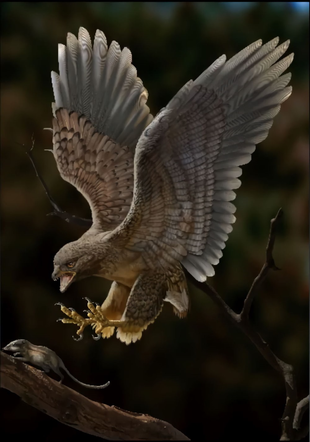 Cratonavis-zhui-3-23 thumb.jpg