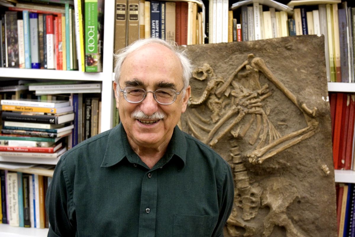 201511201448009688749 9.jpg