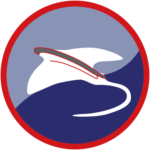 IAF Squadron 193.png