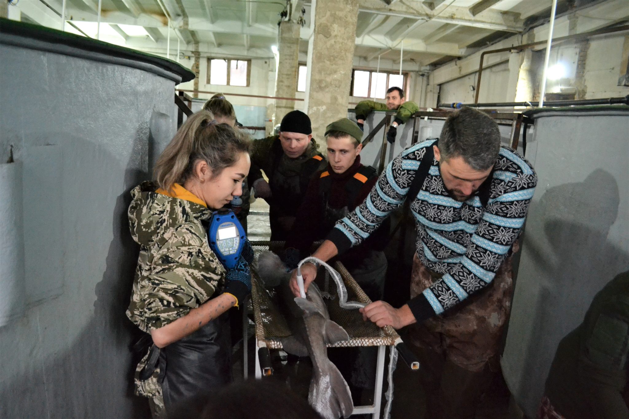 На Белоярском заводе