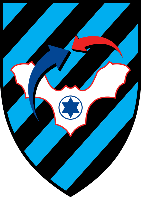 Tag Hagana Avirit 2011.svg.png