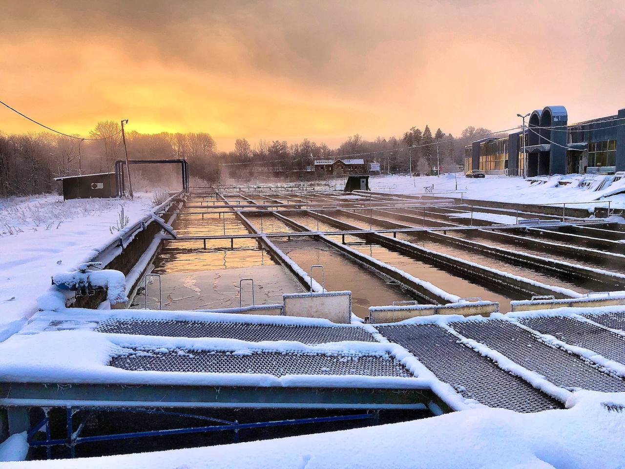 Федеральный селекционно-генетический центр рыбоводства2.jpg