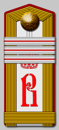 Старший портупей-юнкер бывший вице-унтер-офицером, Владимирское военное училище