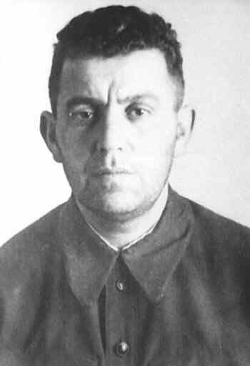 Л. Н. Гинзбург