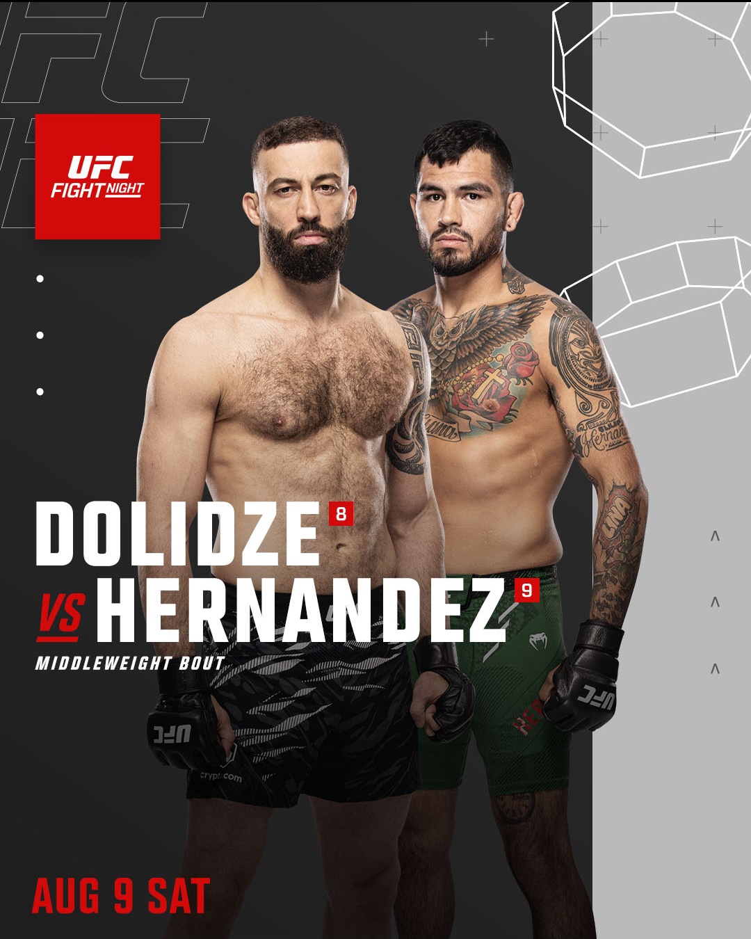 Файл:Poster Dolidze vs Hernandez.jpg