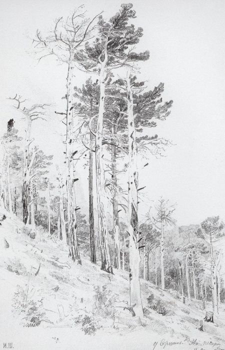 У вершины Ай-Петри. 1879