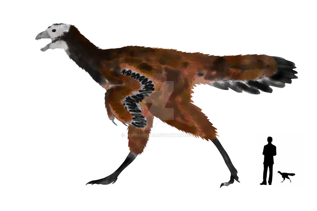Calamospondylus.jpg