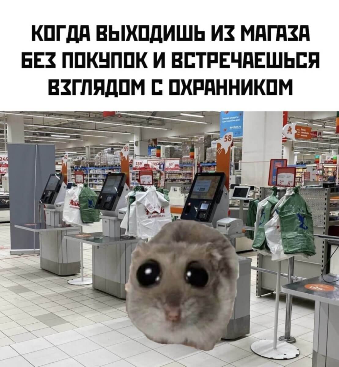 Неуверенный хомяк
