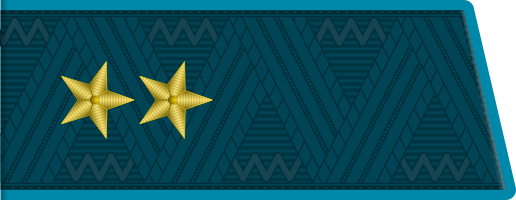 Генерал-лейтенант ВКС