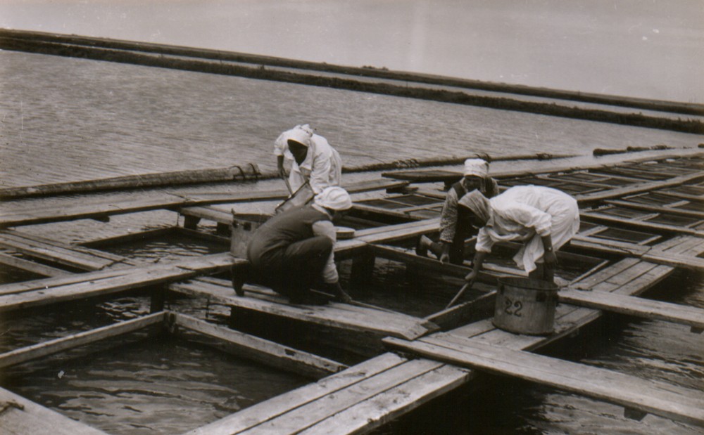 Кизанский ОРЗ5.jpg