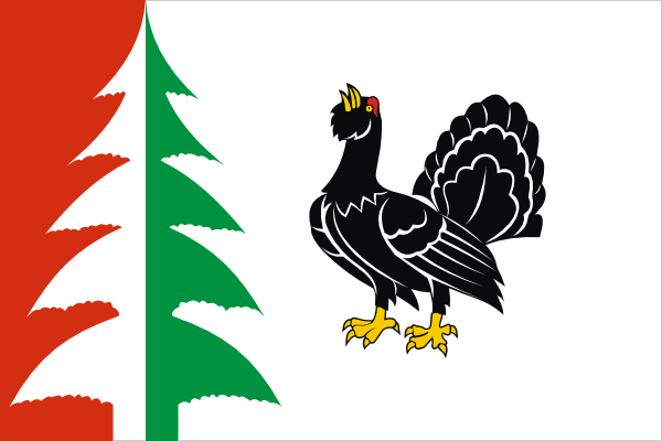 Flag of Lesnoy rayon (Tver oblast).png