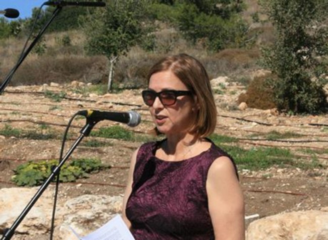 מור אלטשולר8.jpg