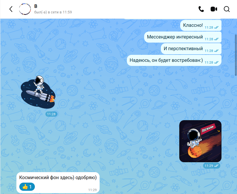 Окно личного чата в мессенджере Max