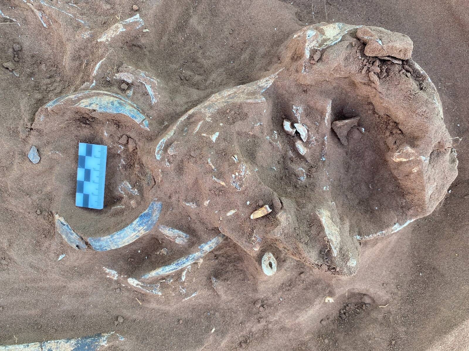 Новобиксинтеевский могильник 05.jpg