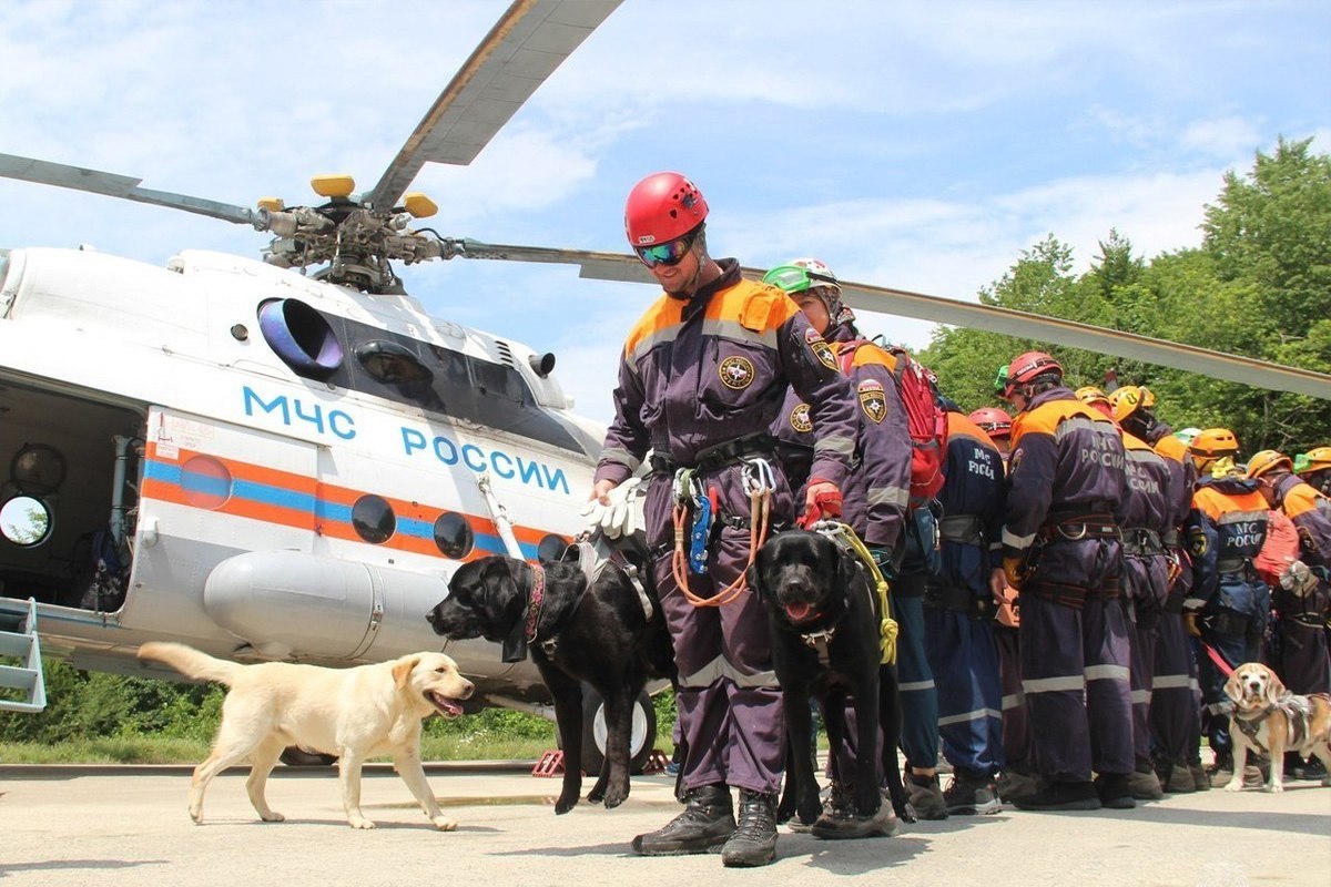 Файл:ПСС МЧС.jpg