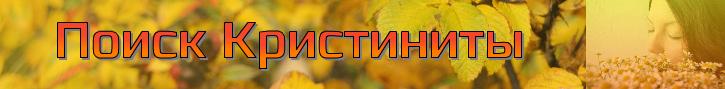 Жёлтый баннер Поиска Кристиниты.jpg