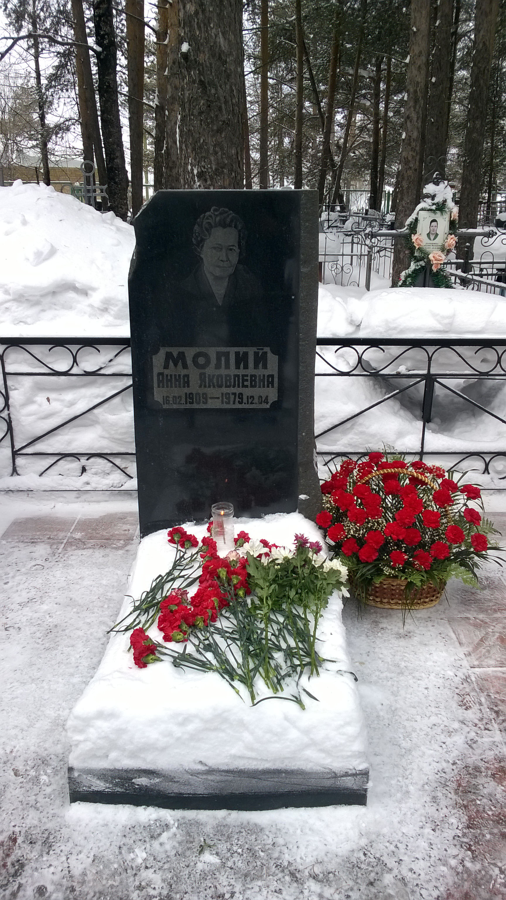 Могила А. Я. Молий