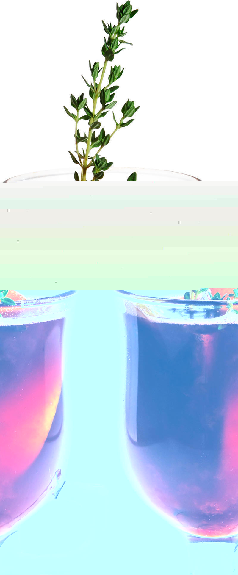 Файл:Облепиховый глинтвейн (коктейль).jpg