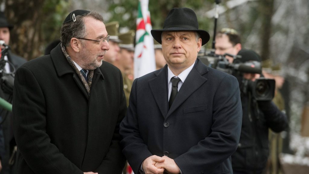 D kos20150126026-1024x576.jpg