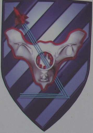 Eged Zafon 168 IAF.png