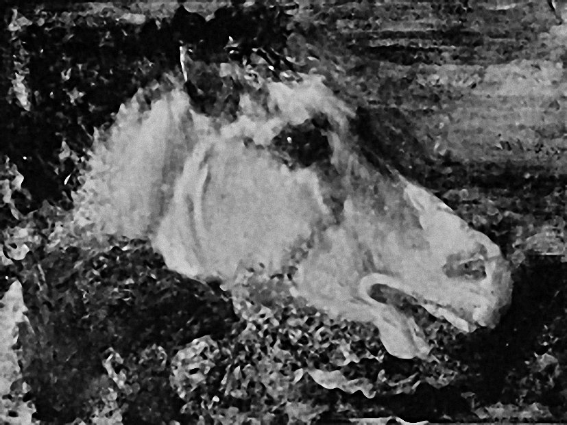 Degas - Tête de cheval, 1861-1864.jpg