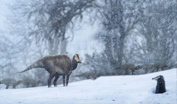 0 70ed6 2d16b5b8 XL.jpg