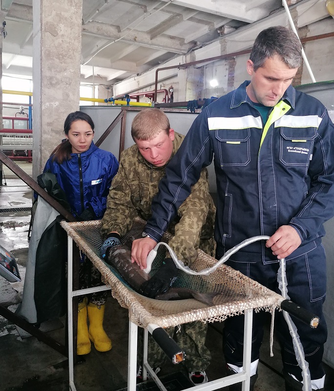 Белоярский рыбоводный завод1.jpg