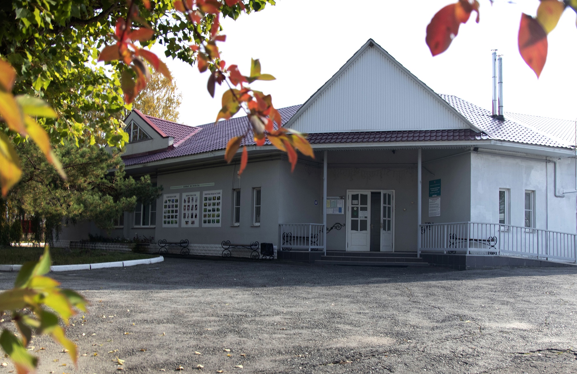 Файл:Липецкий областной музей природы.jpg