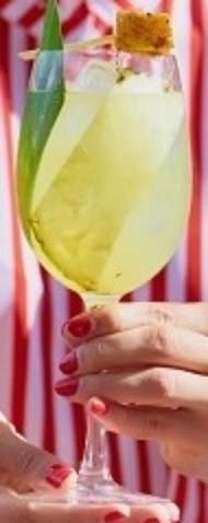 Файл:Фернет Спритц (коктейль).jpg