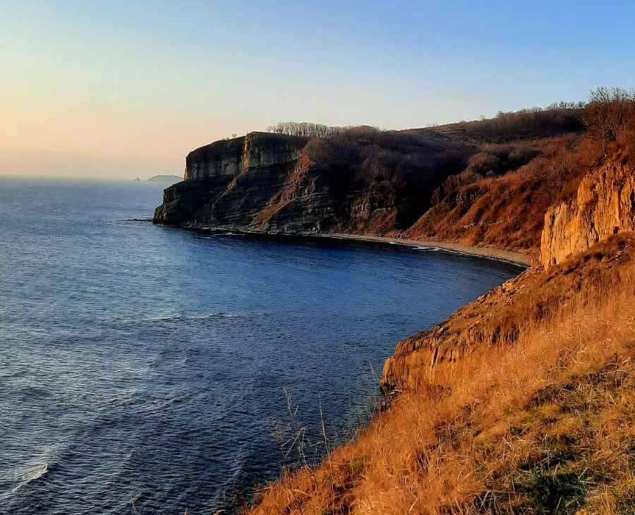 Мыс Таранный (Приморский край)