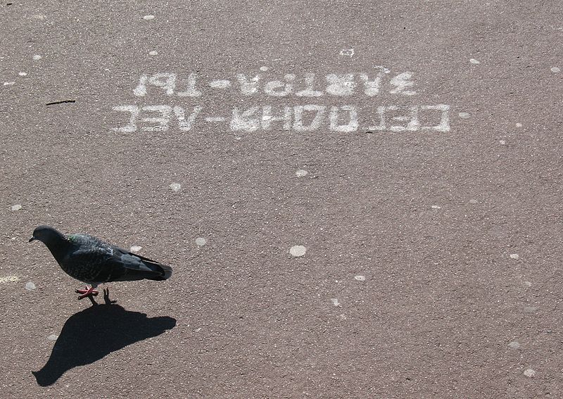 «Сегодня лес — завтра ты.»