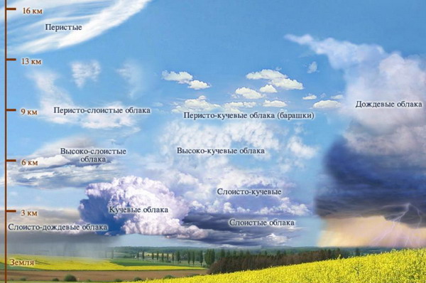 1-Vidi oblakov plus (1).jpg