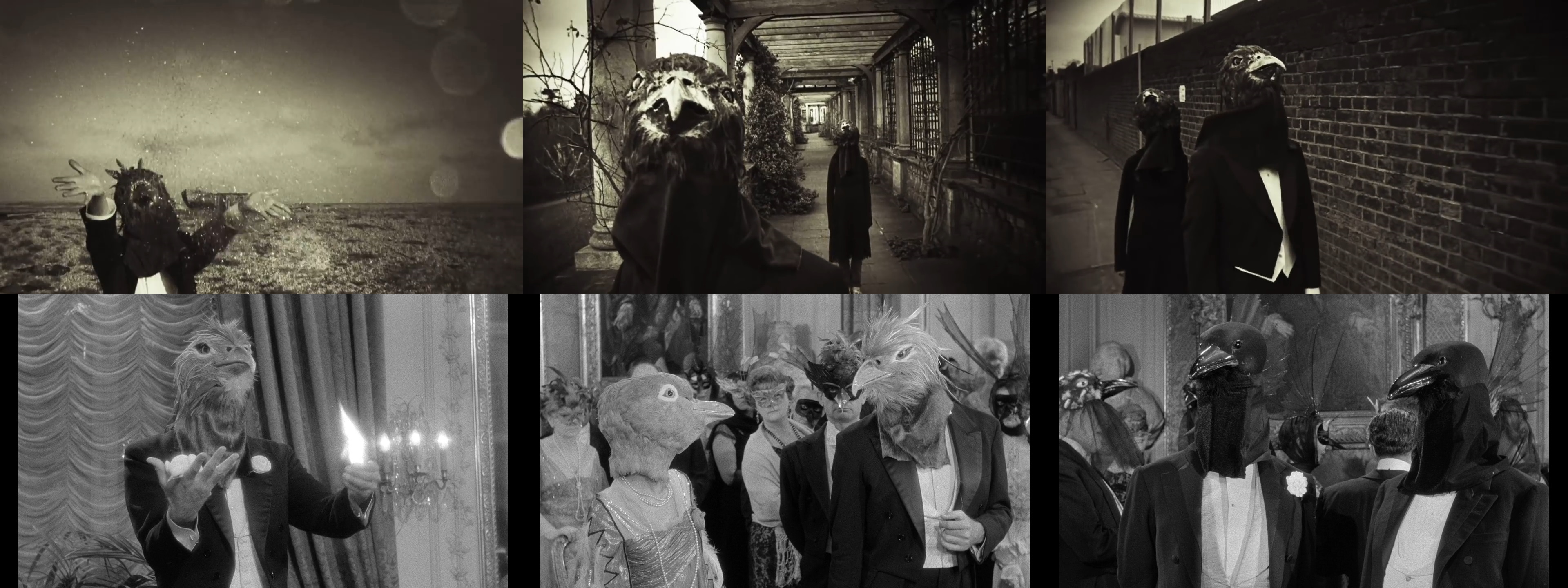 Люди в масках птиц вдохновлены фильмом Жоржа Франжю «Жюдекс». Кадр 1: в фильме «Жюдекс» человек в маске птицы демонстрирует фокус с огнём, во время которого воскрешает голубку; в видеоклипе «Harmony Korine» мужчина-птица во время фокуса с блёстками оживляет женщину-птицу. Кадр 2: Дизайн маски женщины-птицы в клипе имеет больше всего общего с маской голубя у женщины на маскараде в фильме «Жюдекс» Кадр 3: при этом дизайн масок с покрывающей лицо тёмной тканью имеет больше общего с масками других персонажей на маскараде фильме «Жюдекс».