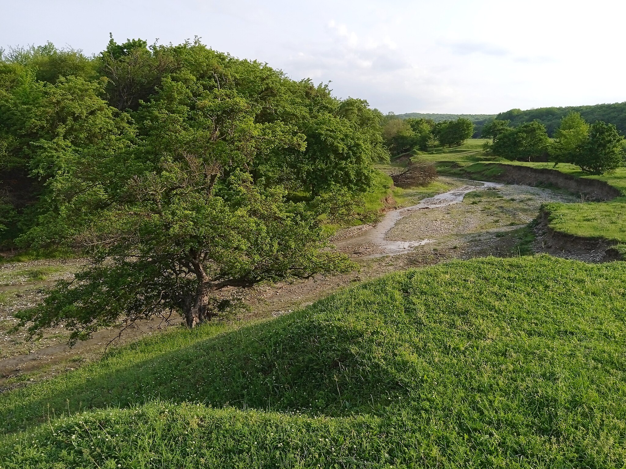 г. Курчалой речка Терлинг