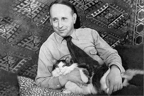 Кот тот Film 1(15).jpg