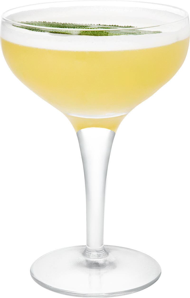 Файл:Маргарита с шалфеем и ананасом (коктейль).jpg