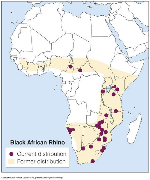 Black rhino distribution.jpg