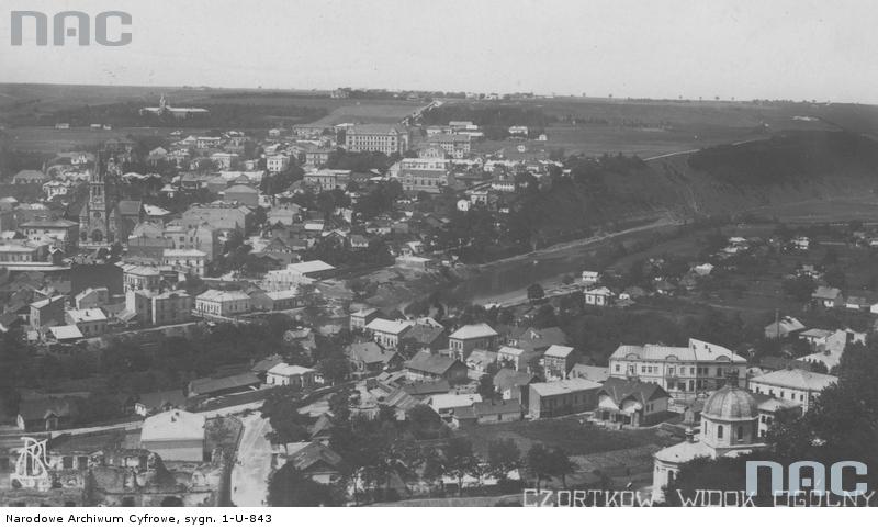 Панорама местности с видом на костел и греко-католическую церковь