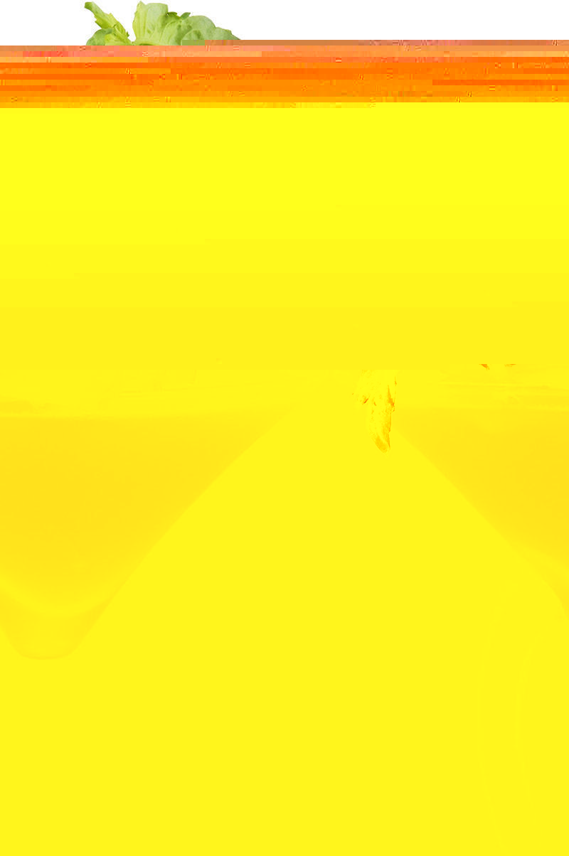 Файл:Спринг грасс тини (коктейль).jpg