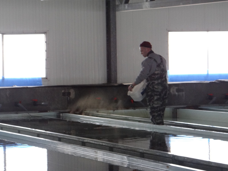 ЛРЗ Озерки4.jpg