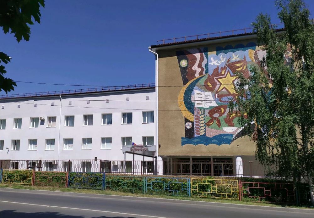 Файл:Ставрополь Гимназия 12 Здание Мозаика.jpg