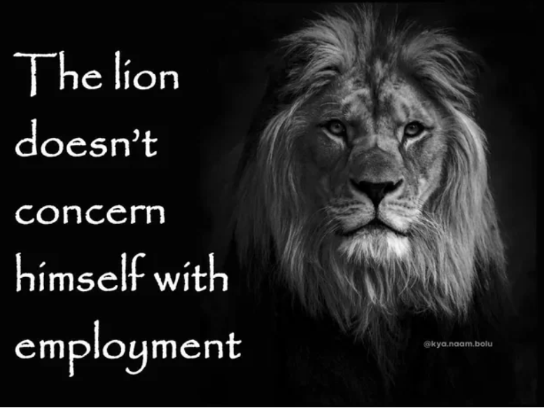 Лев ни о чём не беспокоится, даже о работе